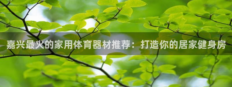 尊龙人生就是博ag旗舰厅：嘉兴最火的家用体育器材推荐