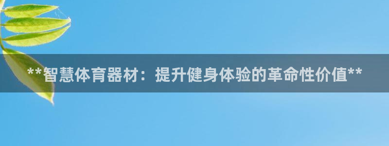 尊龙体育电竞官网：**智慧体育器材：提升健身体验的革