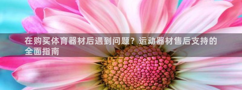 凯时最新官方APP下载：在购买体育器材后遇到问题？运