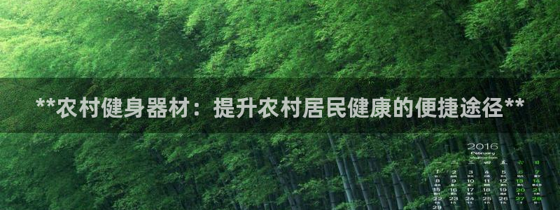 尊龙凯时网站不让提款：**农村健身器材：提升农村居民